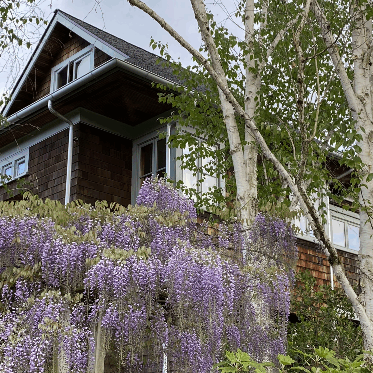 Greg Bishop Architecture Design, Shingle House