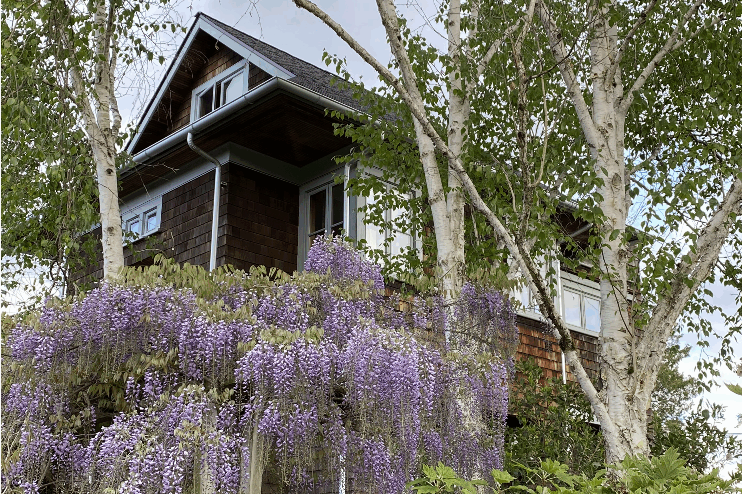 Greg Bishop Architecture Design, Shingle House